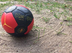 开云体育APP下载-中国篮球推动青少年比赛规则标准统一促进公平竞争，篮球青少年联赛