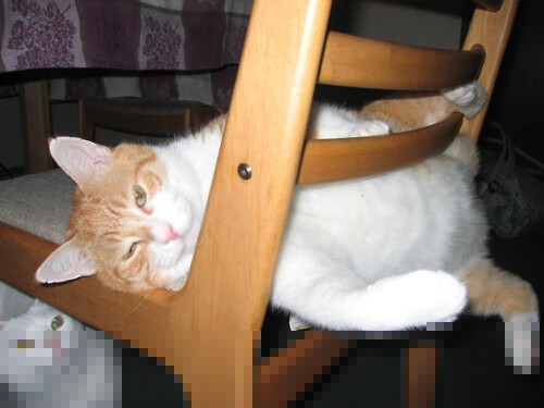 kaiyun网站-基于云计算的足球数据分析平台正式上线，提升比赛解读深度，足球大数据分析系统