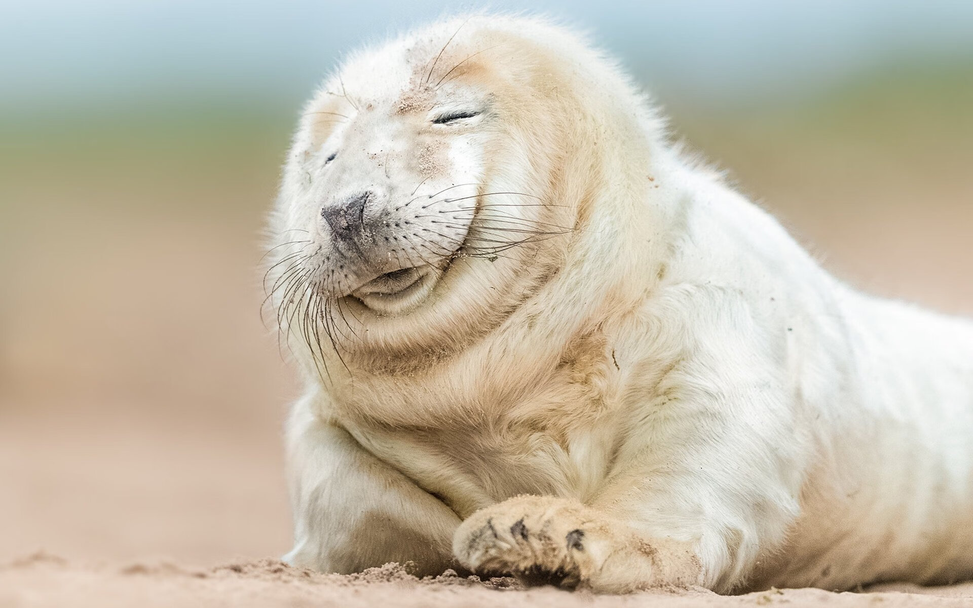 开云网站-6连跪成隐患,法兰克福今晚对阵勒沃库森迎来挑战,法兰克福对沃尔夫斯堡预测