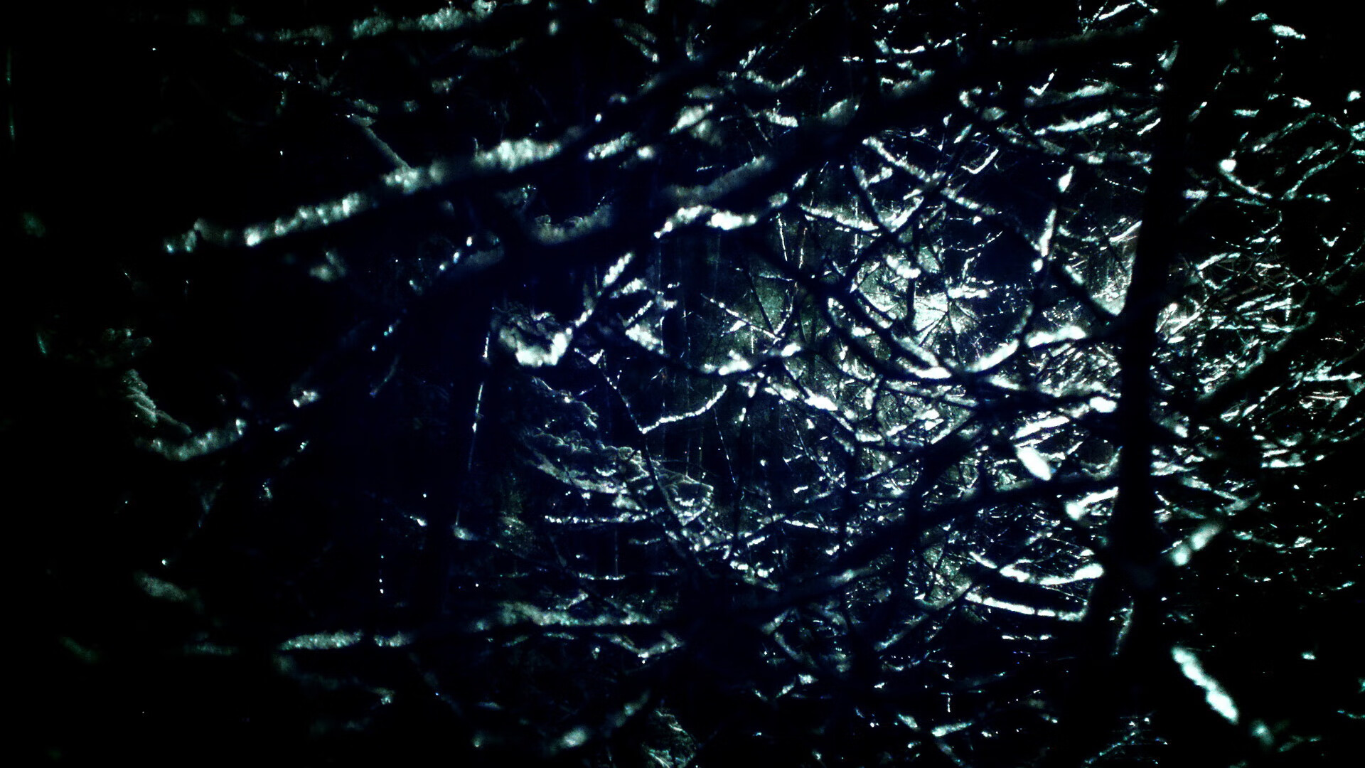 Kaiyun APP-Palmer冷静射门展现顶级前锋特质，冷静特性