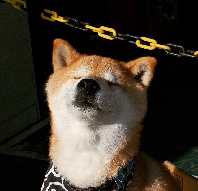 kaiyun体育综合-中国小网球培养计划全面升级,中国网球培训机构