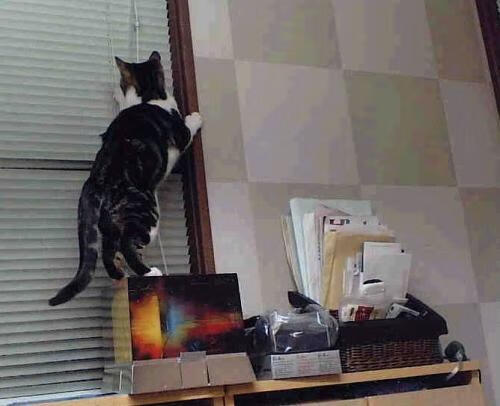 俱乐部青年梯队获得海外交流机会，青年俱乐部有哪些活动